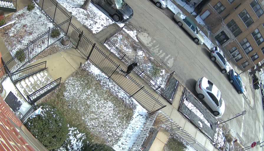 Reolink Camera Two_01_Reolink Home Hub One_20260318112808.jpg